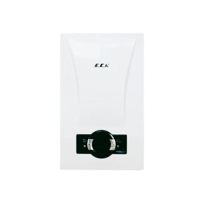 Eca PROTEUS PREMİX 42 kW